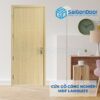 CỬA GỖ CÔNG NGHIỆP MDF LAMINATE P1R8 5 Cửa gỗ công nghiệp MDF laminate P1R8