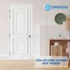 CỬA GỖ CÔNG NGHIỆP MDF VENEER PN4-C1 4 Cửa gỗ công nghiệp MDF Veneer PN4-C1